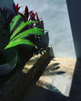 jan schoelzel photography hanover hannover science 