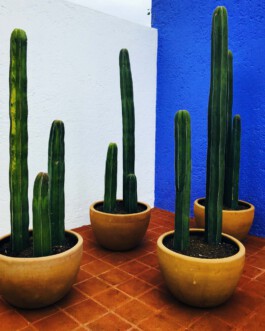 jan schoelzel photography hanover hannover science 