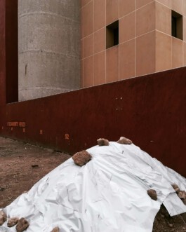 jan schoelzel photography hanover hannover science 