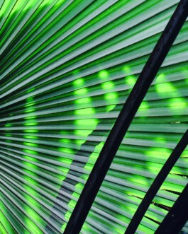 jan schoelzel photography hanover hannover science 