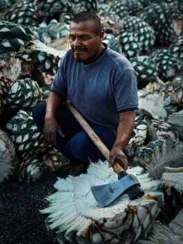 jan schoelzel photography hanover hannover science