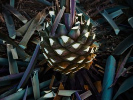 jan schoelzel photography hanover hannover science