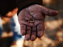 jan schoelzel photography hanover hannover science