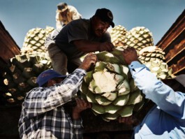 jan schoelzel photography hanover hannover science
