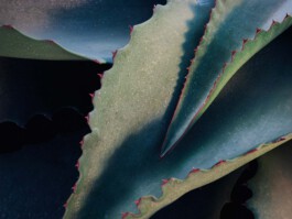 jan schoelzel photography hanover hannover science