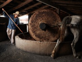 jan schoelzel photography hanover hannover science