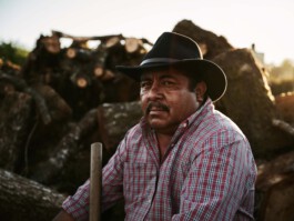 jan schoelzel photography hanover hannover science