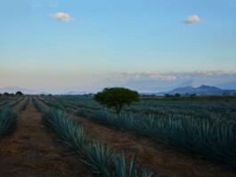 jan schoelzel photography hanover hannover science