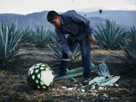 jan schoelzel photography hanover hannover science