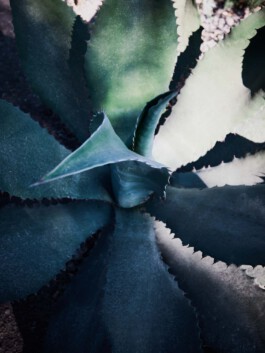 jan schoelzel photography hanover hannover science