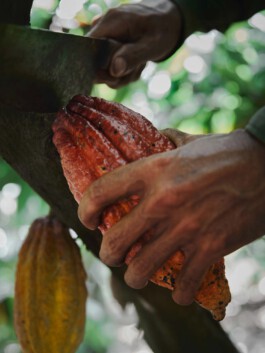 jan schoelzel photography hanover hannover science