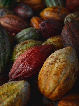 jan schoelzel photography hanover hannover science