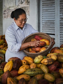jan schoelzel photography hanover hannover science