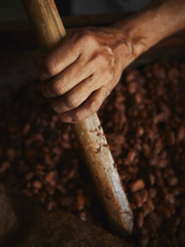 jan schoelzel photography hanover hannover science