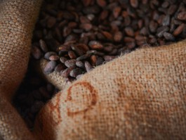 jan schoelzel photography hanover hannover science