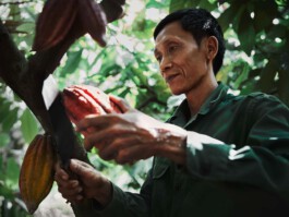 jan schoelzel photography hanover hannover science