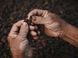 jan schoelzel photography hanover hannover science