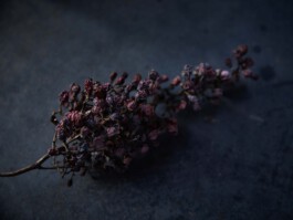 jan schoelzel photography hanover hannover science