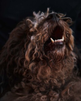 jan schoelzel photography hanover hannover science 