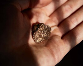 jan schoelzel photography hanover hannover science 