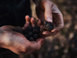 jan schoelzel photography hanover hannover science 