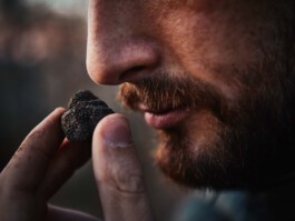 jan schoelzel photography hanover hannover science 