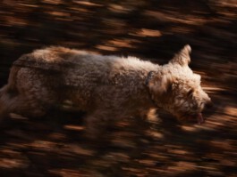 jan schoelzel photography hanover hannover science 