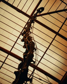 jan schoelzel photography hanover hannover science 