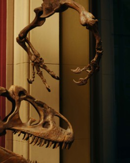 jan schoelzel photography hanover hannover science 