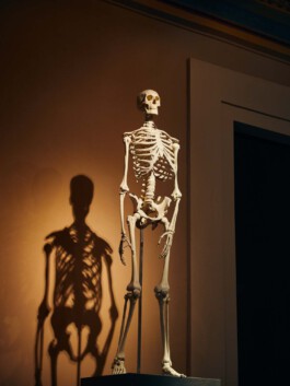 jan schoelzel photography hanover hannover science 