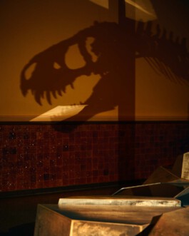 jan schoelzel photography hanover hannover science 