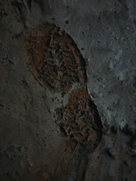 jan schoelzel photography hanover hannover science 