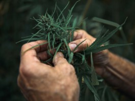 jan schoelzel photography hanover hannover science 