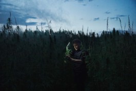 jan schoelzel photography hanover hannover science 