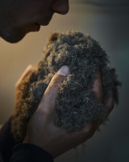 jan schoelzel photography hanover hannover science 