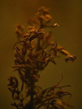 jan schoelzel photography hanover hannover science 