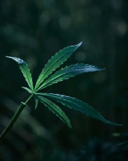 jan schoelzel photography hanover hannover science 