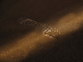 jan schoelzel photography hanover hannover science 