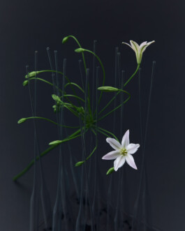 jan schoelzel photography hanover hannover science