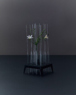 jan schoelzel photography hanover hannover science