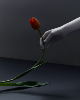 jan schoelzel photography hanover hannover science