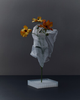 jan schoelzel photography hanover hannover science