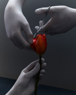 jan schoelzel photography hanover hannover science