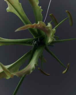 jan schoelzel photography hanover hannover science 