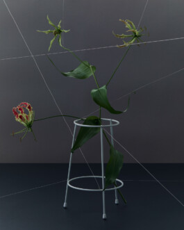 jan schoelzel photography hanover hannover science