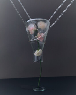 jan schoelzel photography hanover hannover science