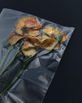 jan schoelzel photography hanover hannover science