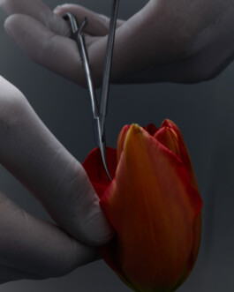 jan schoelzel photography hanover hannover science