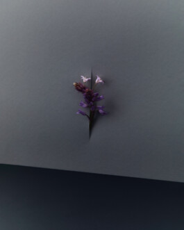 jan schoelzel photography hanover hannover science