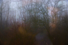 jan schoelzel photography hanover hannover science 